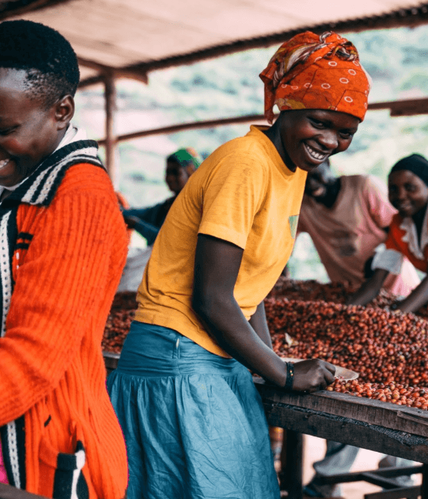 El Kivu • Rwanda