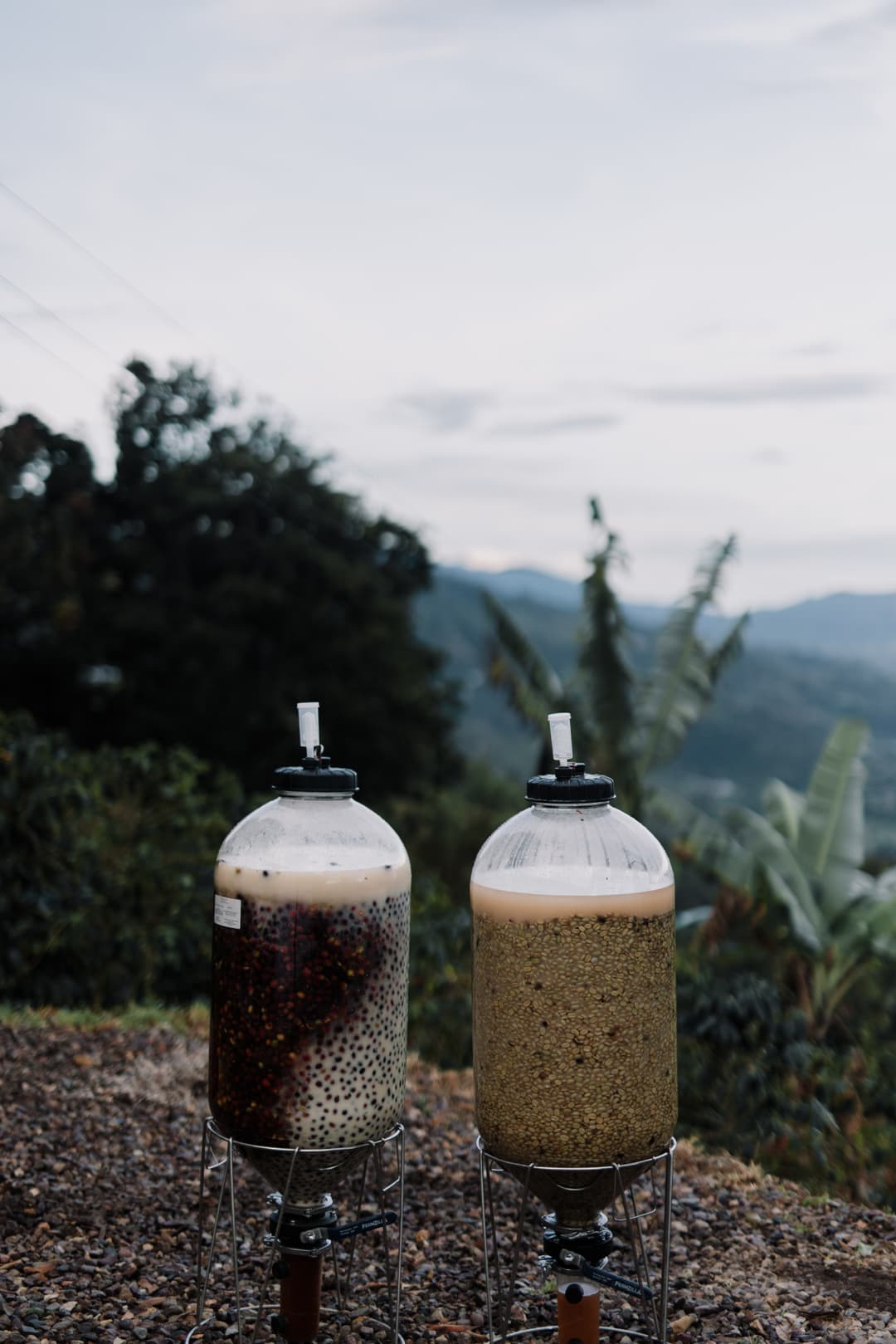 Impérial • El Encanto